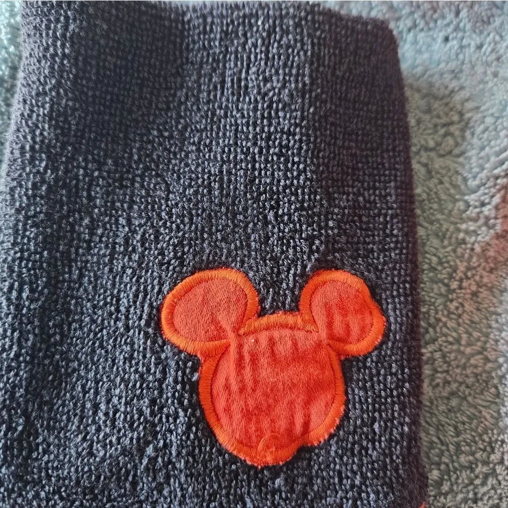 Lot of 5 Disney wash cloths